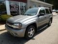 2007 Chevrolet TrailBlazer