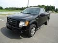 2009 Ford F-150