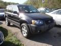 2006 Ford Escape
