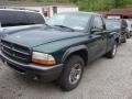 2002 Dodge Dakota