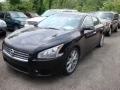 2009 Nissan Maxima