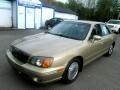2001 Hyundai XG300