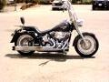 2005 Harley-Davidson FLSTF