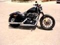 2011 Harley-Davidson XL883N