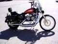 2009 Harley-Davidson XL1200C