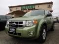 2008 Ford Escape