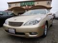 2004 Lexus ES 330