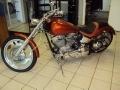 2009 Custom Motorcycle Softail