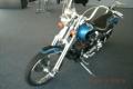 2004 Harley-Davidson FXSTSI