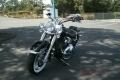 2009 Harley-Davidson FLSTN