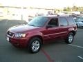 2006 Ford Escape Hybrid