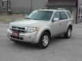 2012 Ford Escape