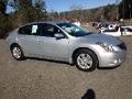 2010 Nissan Altima