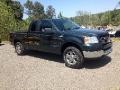 2005 Ford F-150