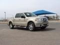 2007 Ford F-150