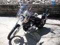 2007 Harley-Davidson XL1200C