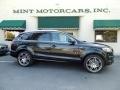 2009 Audi Q7