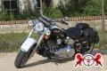 2007 Harley-Davidson FLSTNI
