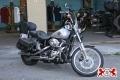 2001 Harley-Davidson FXDWG