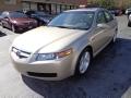 2004 Acura TL