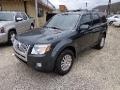 2010 Mercury Mariner