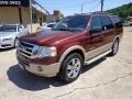 2007 Ford Expedition