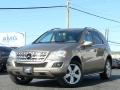 2010 Mercedes-Benz M-Class