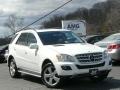 2010 Mercedes-Benz M-Class