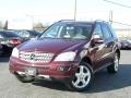 2008 Mercedes-Benz M-Class