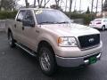 2007 Ford F-150