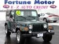 2001 Jeep Wrangler