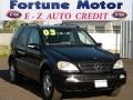 2003 Mercedes-Benz M-Class