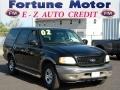 2002 Ford Expedition