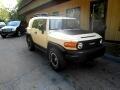 2010 Toyota FJ Cruiser