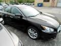 2010 Nissan Maxima