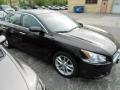 2010 Nissan Maxima