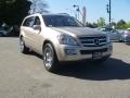 2007 Mercedes-Benz GL-Class