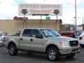 2007 Ford F-150