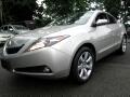 2010 Acura ZDX