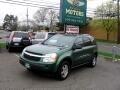2005 Chevrolet Equinox