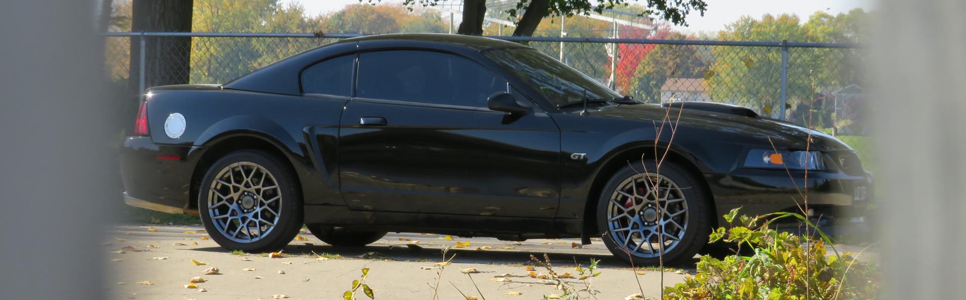 Click here to follow us on Instagram