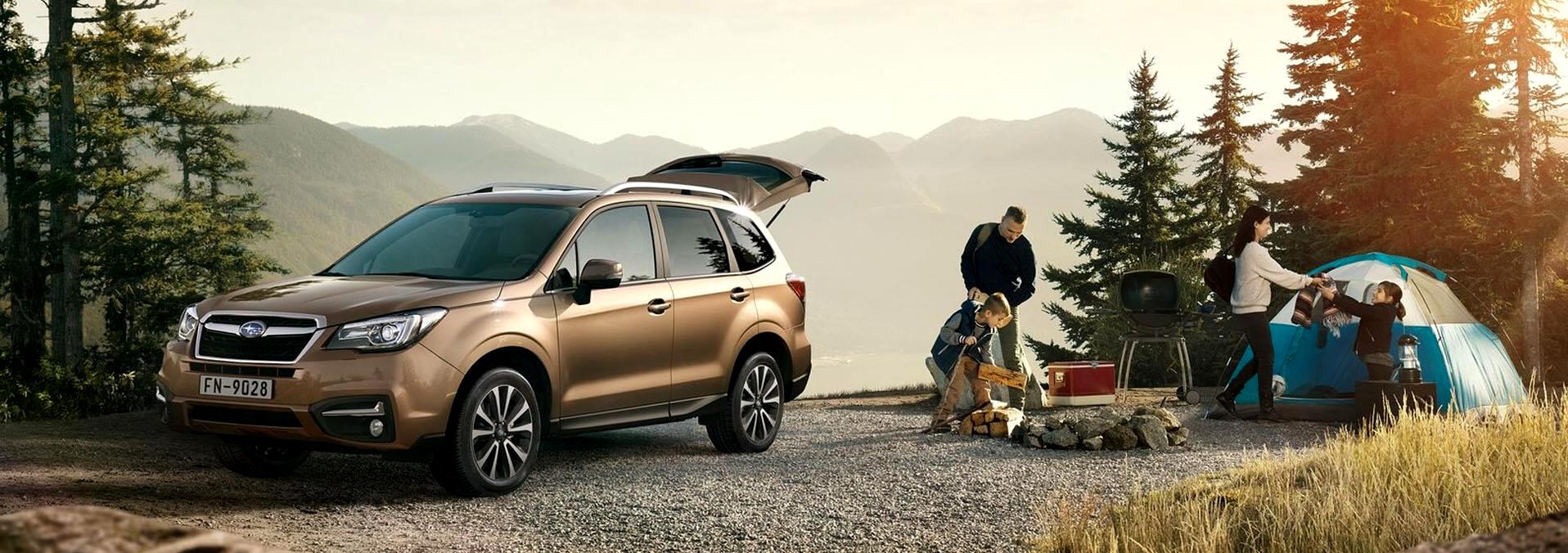 Over 50 years of collective experience