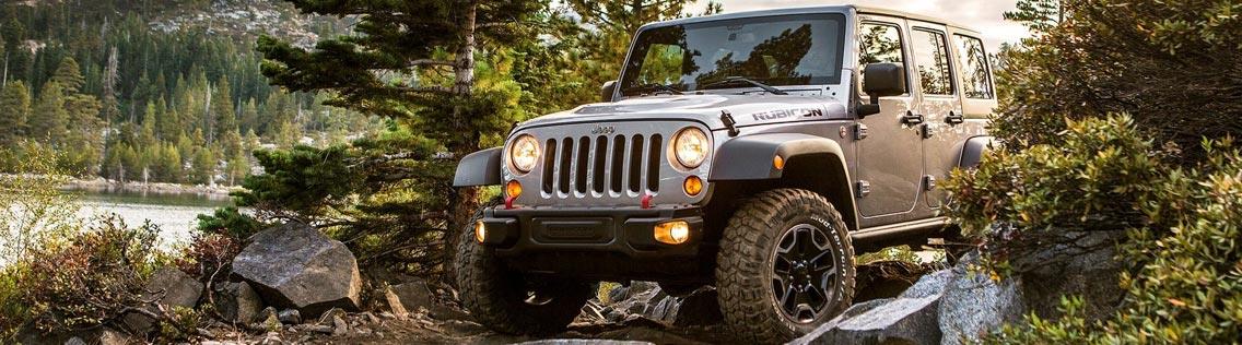 WE FINANCE EVERYBODY!