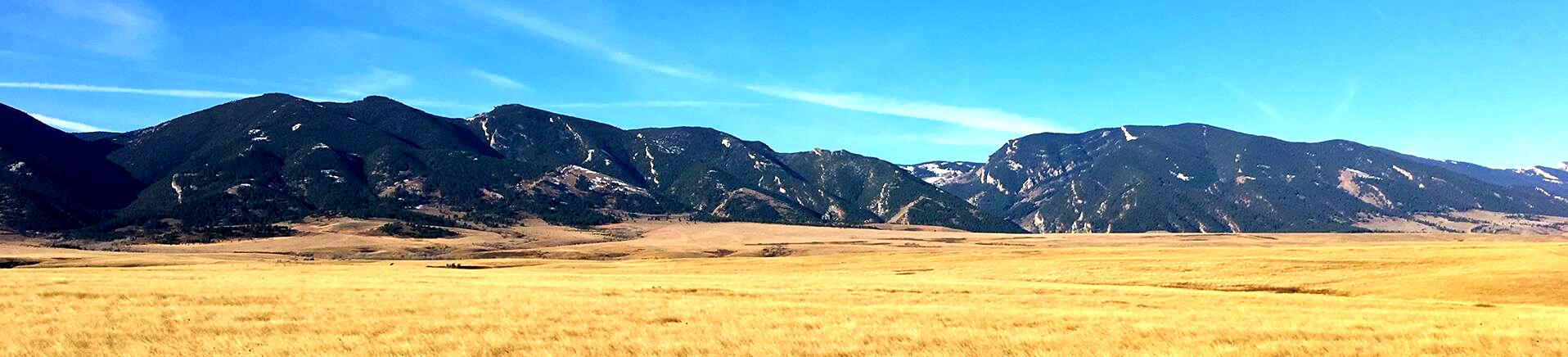 Welcome to Dayton Deals!