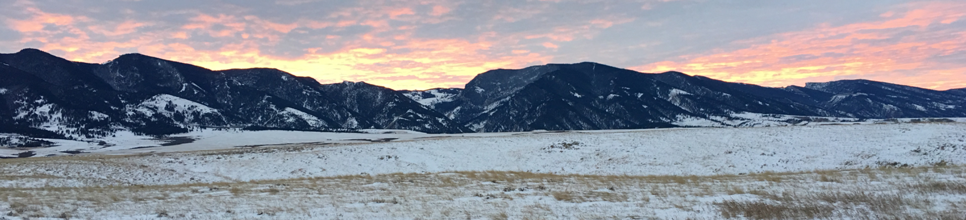 We look forward to serving you!