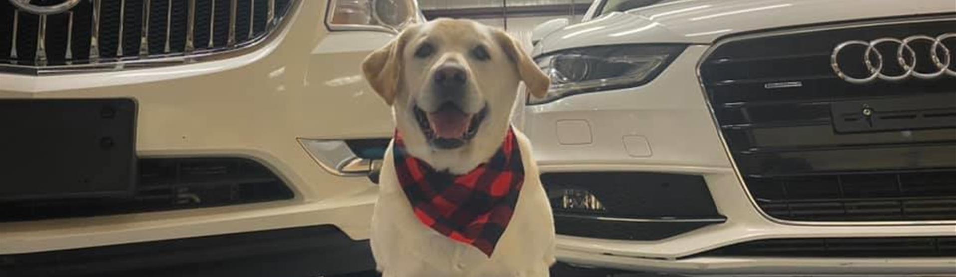 Used Cars Owasso OK Used Cars & Trucks OK Owasso Car Guys