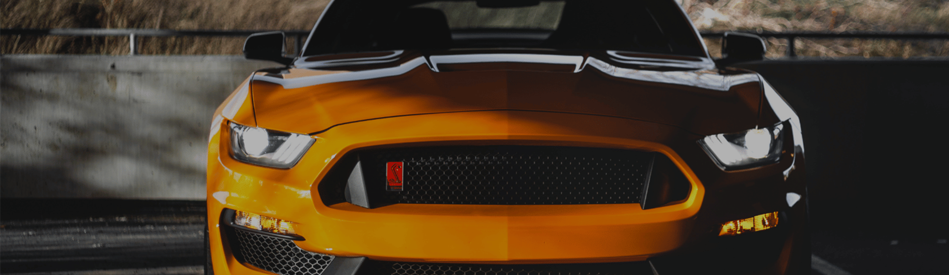 Used Cars Garner NC Used Cars & Trucks NC Cleveland Springs Auto LLC