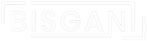 Bisgani LLC