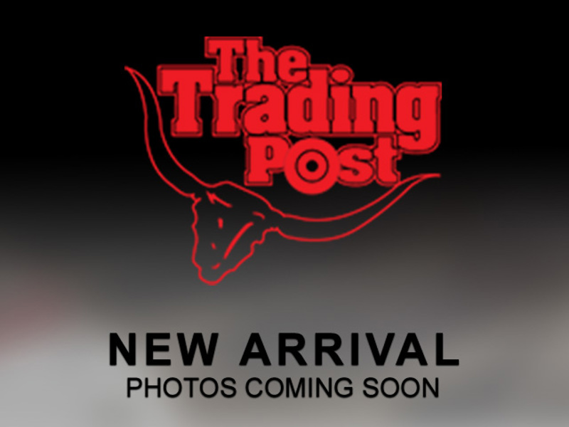 Chevrolet C/K 1500 LS Ext. Cab 2WD 1999