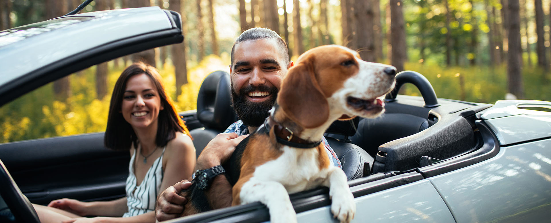 Couple driving with a beagle in a car they purchased from DriveNow Auto Sales